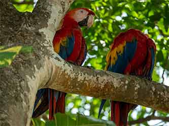 Costa Rica
