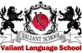 study foreign language